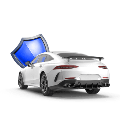 Продлённая техническая защита